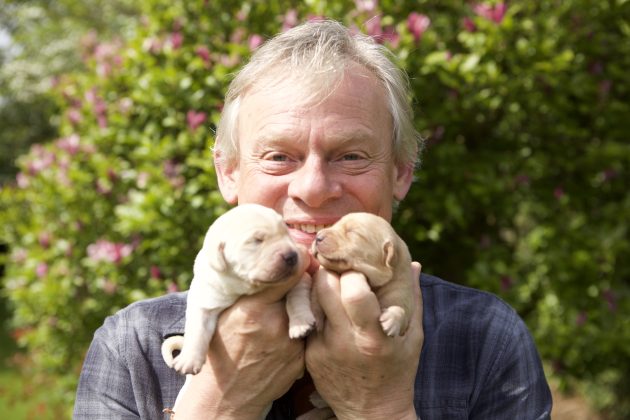 ADCL_Martin Clunes with new born puppies Landscape 3 © Buffalo Pictures